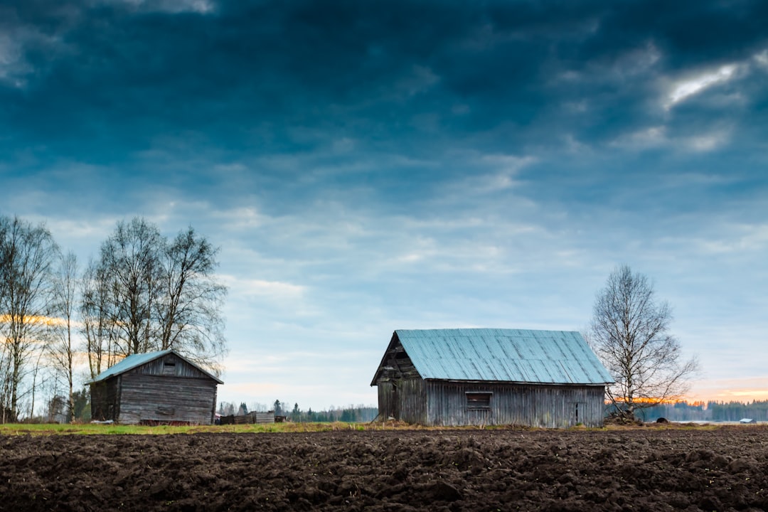 Photo Farmland, agriculture